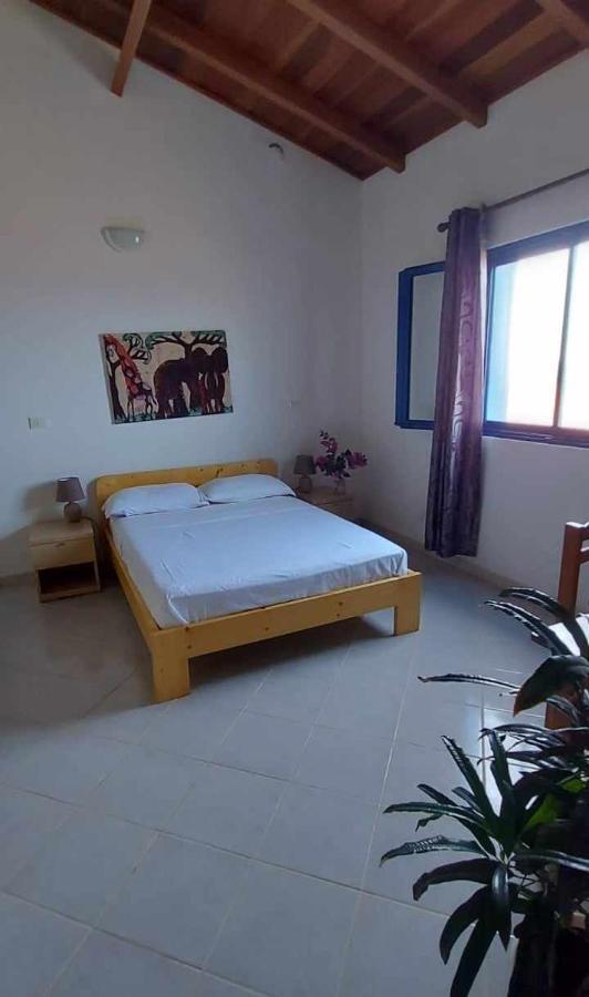 Hotel Casa Torre Palmeira Esterno foto