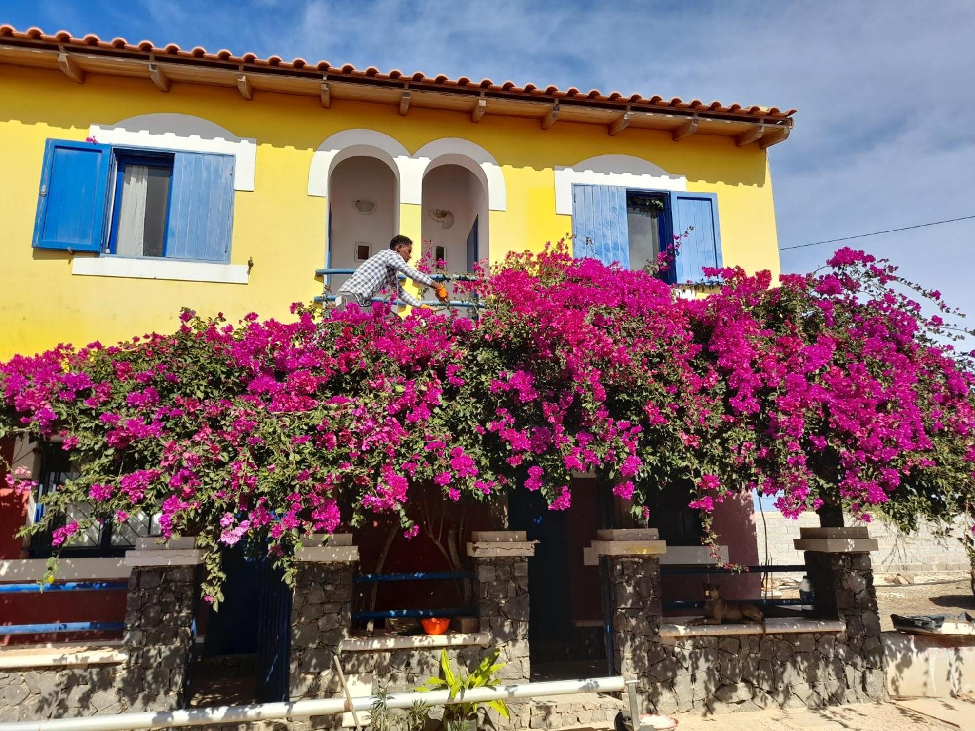 Hotel Casa Torre Palmeira Esterno foto